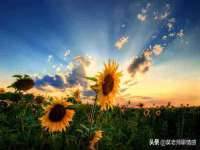 贵州模湖科技有限公司