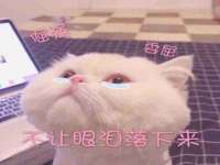 贵州模湖科技有限公司