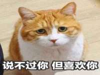 贵州模湖科技有限公司