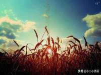 贵州模湖科技有限公司