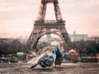 贵州模湖科技有限公司