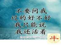贵州模湖科技有限公司