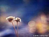 贵州模湖科技有限公司