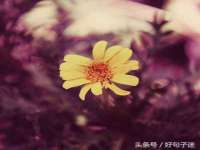 贵州模湖科技有限公司