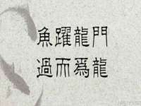 贵州模湖科技有限公司