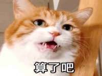 贵州模湖科技有限公司