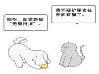 贵州模湖科技有限公司