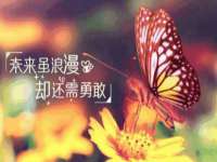 贵州模湖科技有限公司