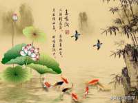贵州模湖科技有限公司