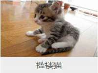 贵州模湖科技有限公司