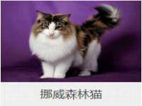 贵州模湖科技有限公司