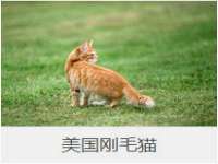 贵州模湖科技有限公司
