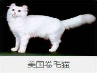 贵州模湖科技有限公司