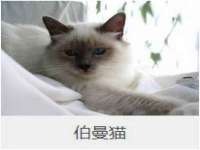 贵州模湖科技有限公司