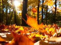 贵州模湖科技有限公司