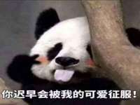 贵州模湖科技有限公司