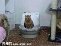 贵州模湖科技有限公司