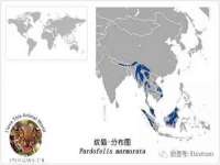 贵州模湖科技有限公司