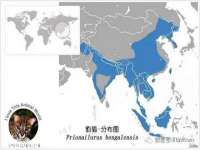 贵州模湖科技有限公司