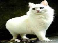 贵州模湖科技有限公司