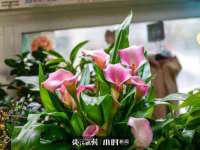 贵州模湖科技有限公司