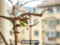 贵州模湖科技有限公司