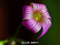 贵州模湖科技有限公司