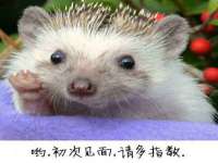 贵州模湖科技有限公司