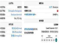 贵州模湖科技有限公司