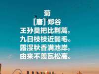贵州模湖科技有限公司