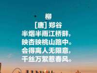 贵州模湖科技有限公司