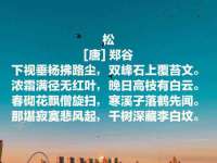 贵州模湖科技有限公司