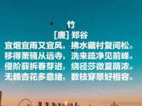 贵州模湖科技有限公司