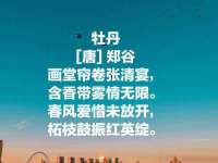 贵州模湖科技有限公司