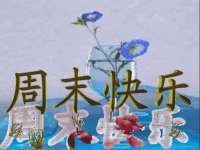 贵州模湖科技有限公司