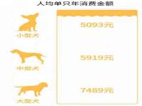 贵州模湖科技有限公司