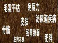 贵州模湖科技有限公司
