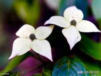 贵州模湖科技有限公司