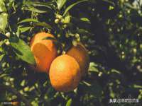 贵州模湖科技有限公司
