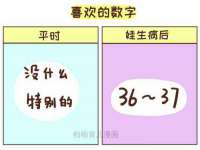 贵州模湖科技有限公司