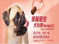 贵州模湖科技有限公司