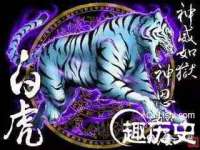 贵州模湖科技有限公司