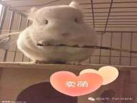 贵州模湖科技有限公司