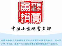 贵州模湖科技有限公司