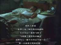 贵州模湖科技有限公司