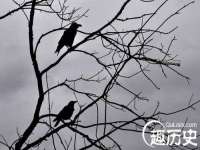 贵州模湖科技有限公司
