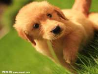 贵州模湖科技有限公司