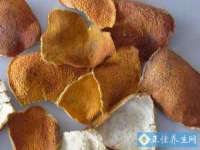 贵州模湖科技有限公司