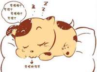 贵州模湖科技有限公司