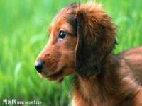 贵州模湖科技有限公司